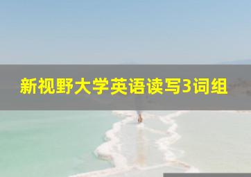 新视野大学英语读写3词组