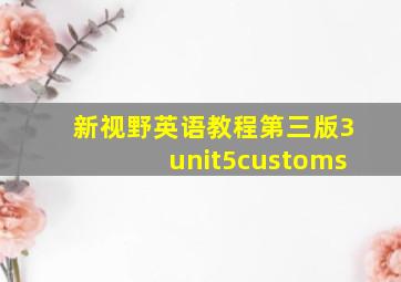 新视野英语教程第三版3unit5customs