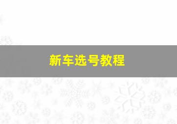 新车选号教程