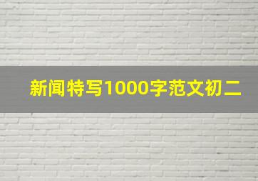 新闻特写1000字范文初二