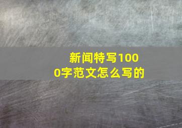 新闻特写1000字范文怎么写的