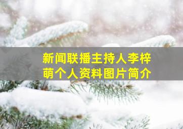 新闻联播主持人李梓萌个人资料图片简介