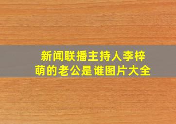 新闻联播主持人李梓萌的老公是谁图片大全