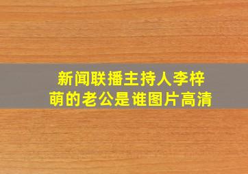 新闻联播主持人李梓萌的老公是谁图片高清