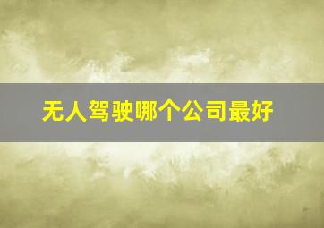 无人驾驶哪个公司最好