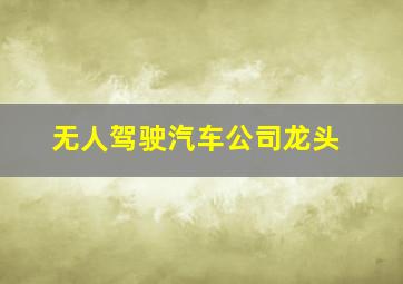 无人驾驶汽车公司龙头