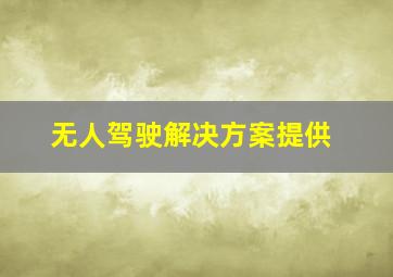 无人驾驶解决方案提供