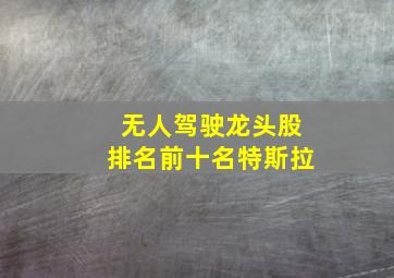 无人驾驶龙头股排名前十名特斯拉