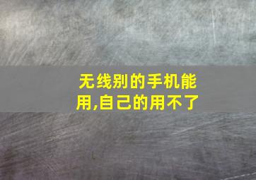 无线别的手机能用,自己的用不了