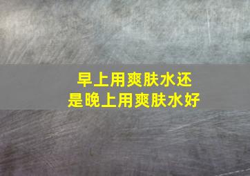 早上用爽肤水还是晚上用爽肤水好