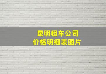 昆明租车公司价格明细表图片