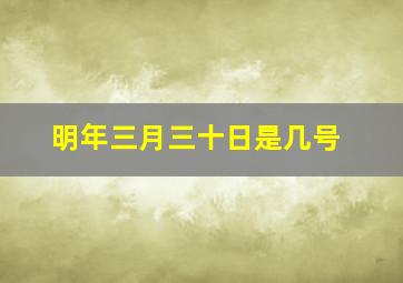 明年三月三十日是几号