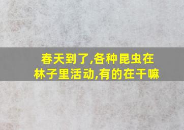 春天到了,各种昆虫在林子里活动,有的在干嘛