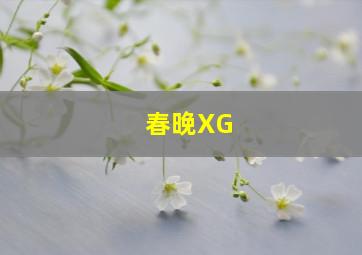 春晚XG