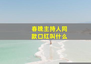 春晚主持人同款口红叫什么