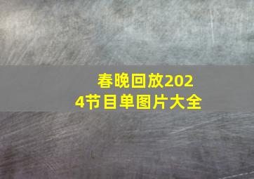 春晚回放2024节目单图片大全