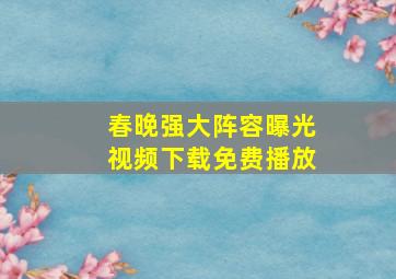 春晚强大阵容曝光视频下载免费播放