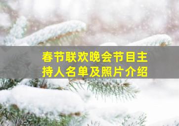 春节联欢晚会节目主持人名单及照片介绍