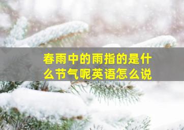 春雨中的雨指的是什么节气呢英语怎么说