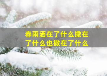 春雨洒在了什么撒在了什么也撒在了什么