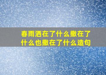 春雨洒在了什么撒在了什么也撒在了什么造句