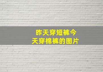 昨天穿短裤今天穿棉裤的图片