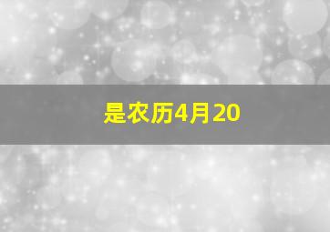 是农历4月20