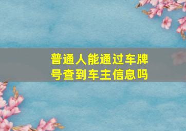 普通人能通过车牌号查到车主信息吗