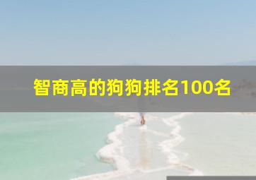 智商高的狗狗排名100名