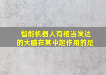 智能机器人有相当发达的大脑在其中起作用的是