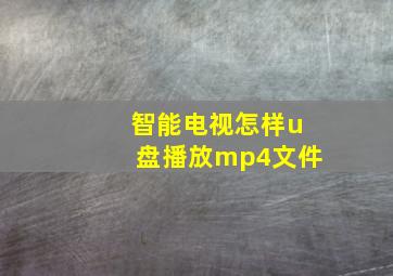 智能电视怎样u盘播放mp4文件