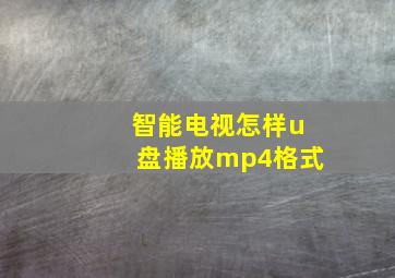 智能电视怎样u盘播放mp4格式