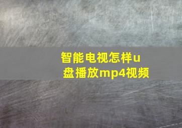 智能电视怎样u盘播放mp4视频