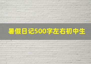 暑假日记500字左右初中生