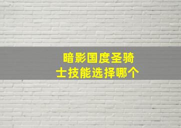 暗影国度圣骑士技能选择哪个