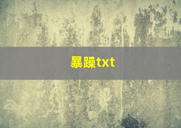 暴躁txt