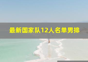 最新国家队12人名单男排