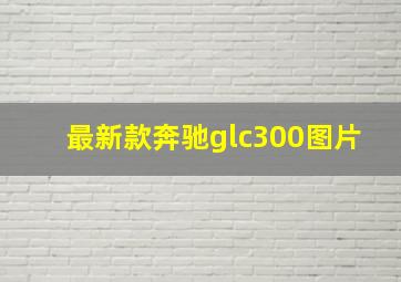 最新款奔驰glc300图片