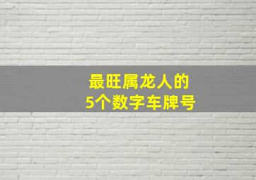 最旺属龙人的5个数字车牌号