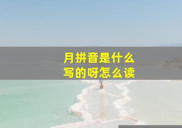 月拼音是什么写的呀怎么读