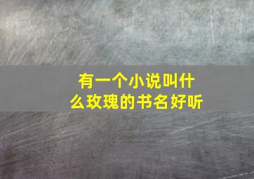 有一个小说叫什么玫瑰的书名好听