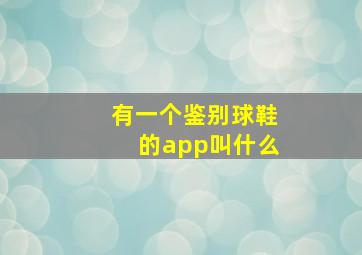 有一个鉴别球鞋的app叫什么