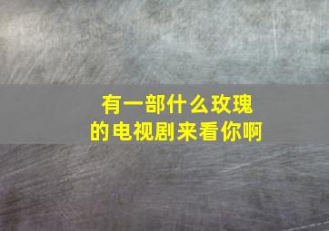 有一部什么玫瑰的电视剧来看你啊