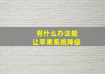 有什么办法能让苹果系统降级