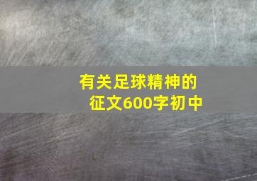 有关足球精神的征文600字初中