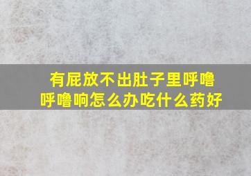 有屁放不出肚子里呼噜呼噜响怎么办吃什么药好