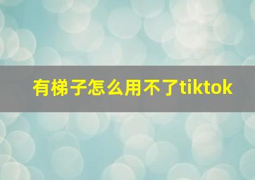 有梯子怎么用不了tiktok