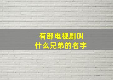 有部电视剧叫什么兄弟的名字