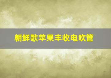 朝鲜歌苹果丰收电吹管