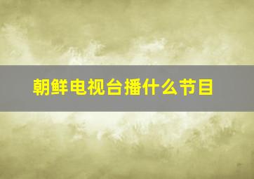 朝鲜电视台播什么节目